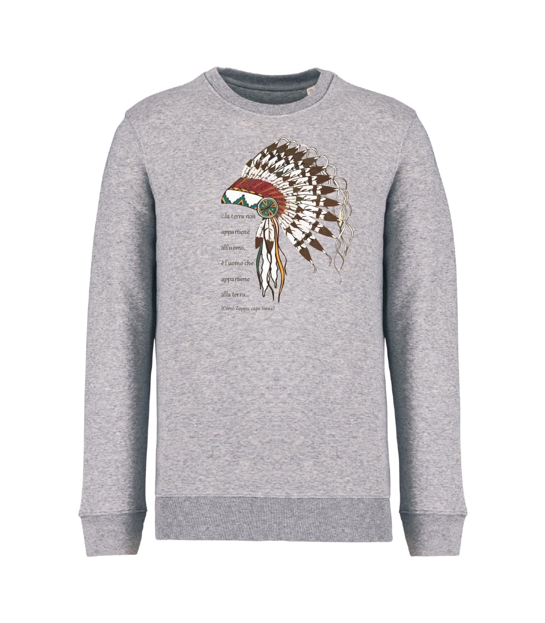 Felpa_unisex_grigio_melange_La_terra_non_appartine_alluomo_ma_e