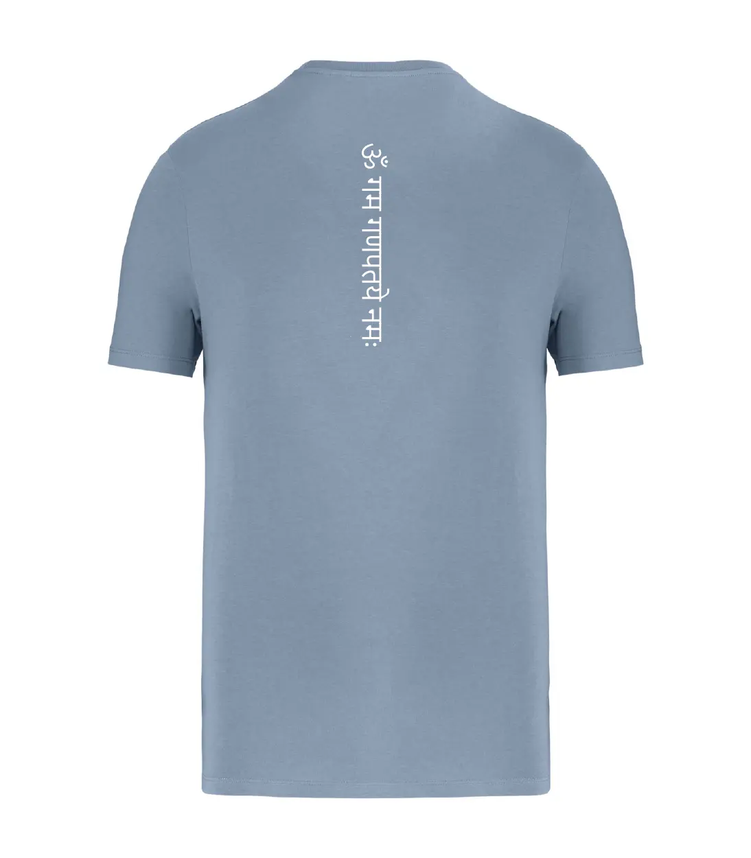 T-shirt_manica_corta_uomo_grigio_fronte_ganescha_mantra